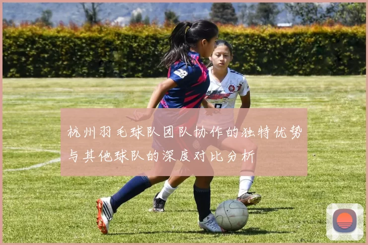 杭州羽毛球队团队协作的独特优势与其他球队的深度对比分析