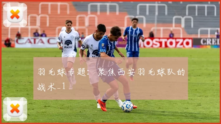 羽毛球专题：聚焦西安羽毛球队的战术_1