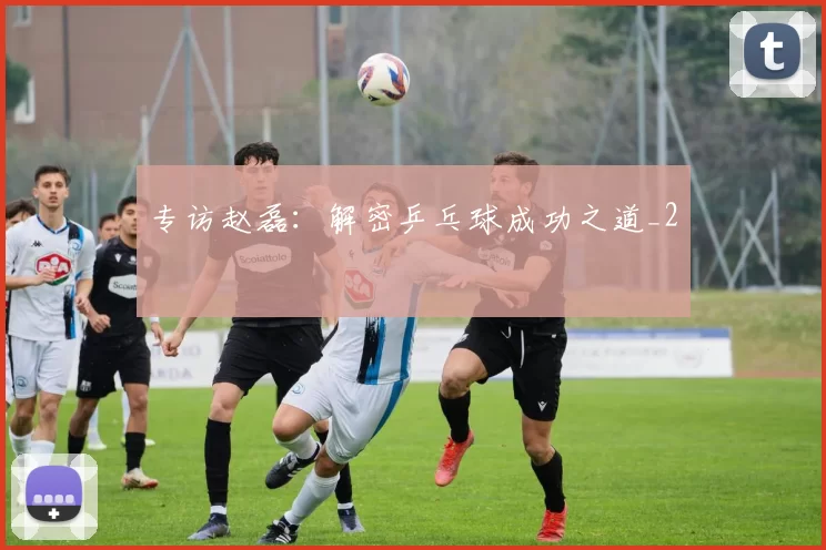 专访赵磊：解密乒乓球成功之道_2